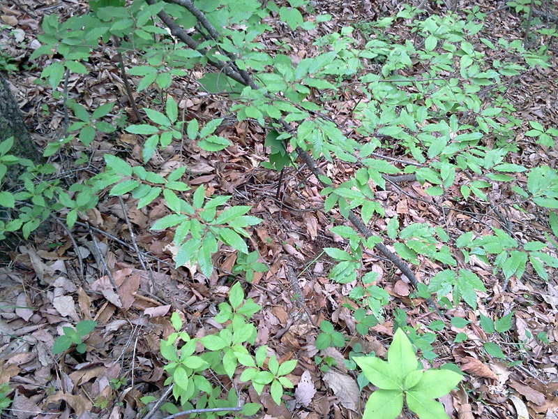 P120501_120941.jpg