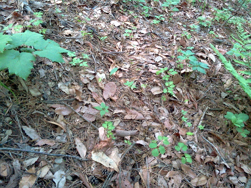 P120505_143550.jpg