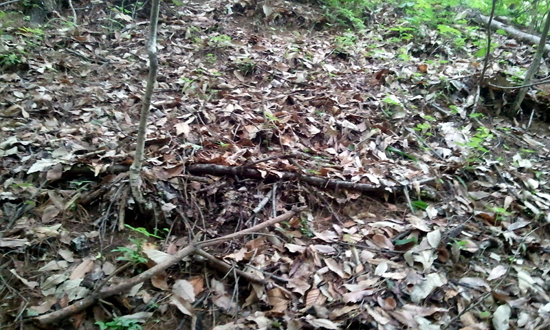 2011-05-28 17.13.44.jpg
