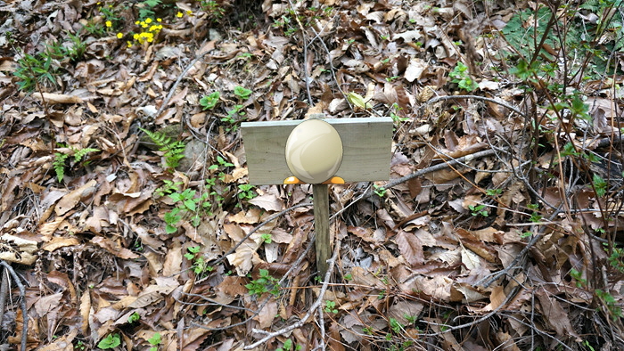 DSC00278.jpg
