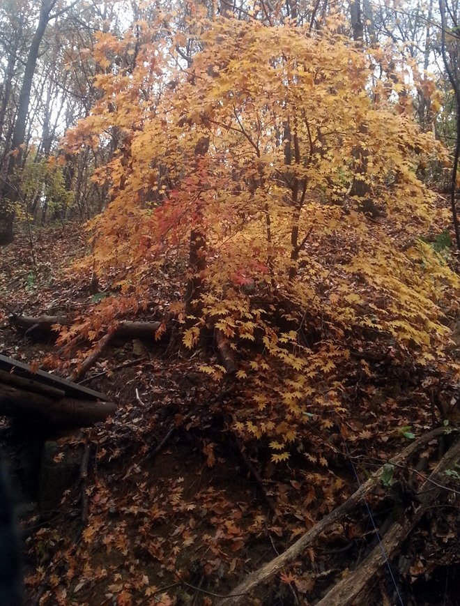 20121111_145849.jpg