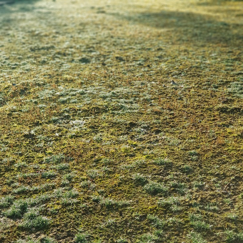 20191102_075553~01.jpg