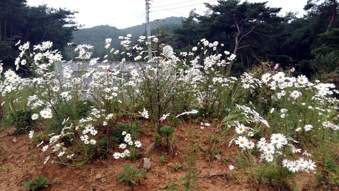 20160928_160610.jpg